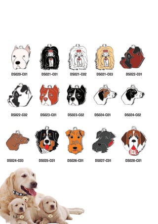 DS020-C01
DS022-C02
DS024-C03
DS021-C01
DS023-C01
DS025-C01
DS021-C02
DS023-C02
DS026-C01
DS021-C03
DS024-C01
DS027-C01
DS022-C01
DS024-C02
DS028-C01
1.3
 