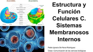 Estructura y
Función
Celulares C.
Sistemas
Membranosos
Internos
Pablo Ignacio De Nova Rodríguez
Clase: Comunicación de las ciencias biológicas
 