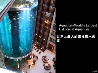 Aquadom-World’s Largest Cylindrical Aquarium 世界上最大的圆柱形水族馆 /48 