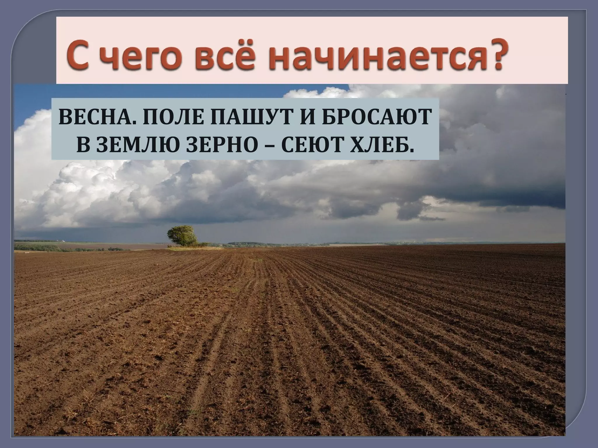 ВЕСНА. ПОЛЕ ПАШУТ И БРОСАЮТ
В ЗЕМЛЮ ЗЕРНО – СЕЮТ ХЛЕБ.
 