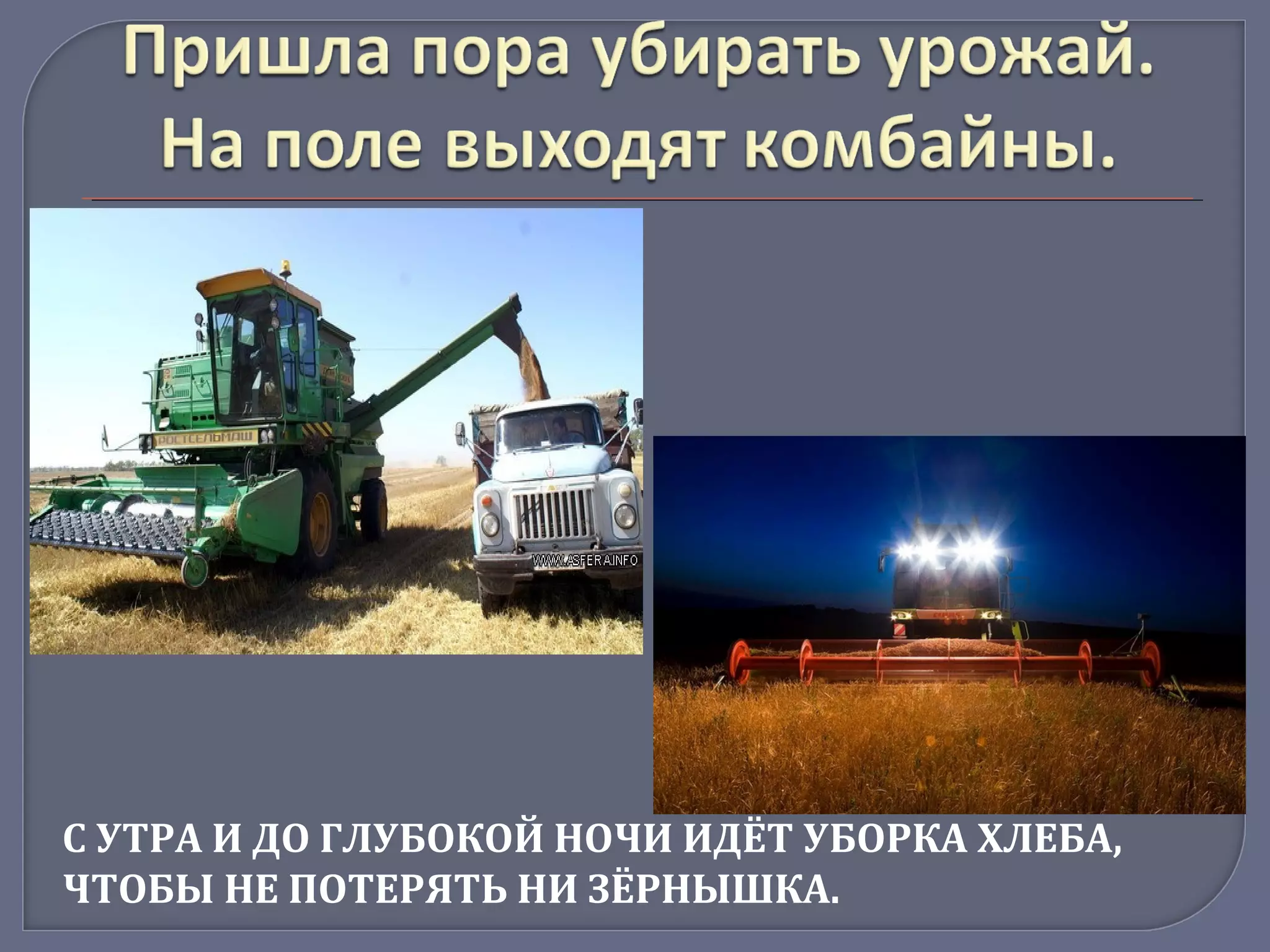 С УТРА И ДО ГЛУБОКОЙ НОЧИ ИДЁТ УБОРКА ХЛЕБА,
ЧТОБЫ НЕ ПОТЕРЯТЬ НИ ЗЁРНЫШКА.
 