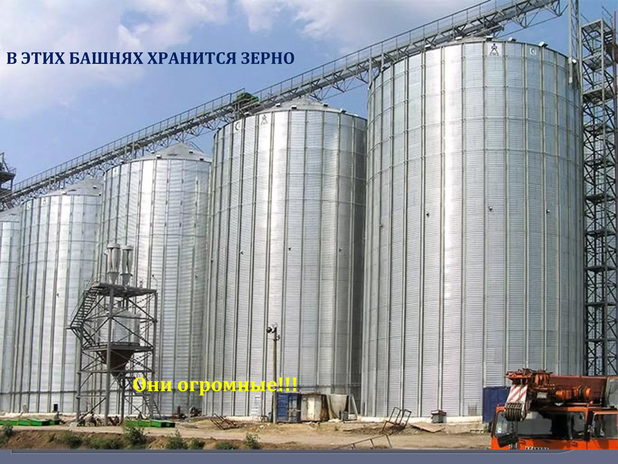 В ЭТИХ БАШНЯХ ХРАНИТСЯ ЗЕРНО
Они огромные!!!
 