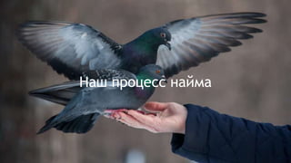 Наш процесс найма
 