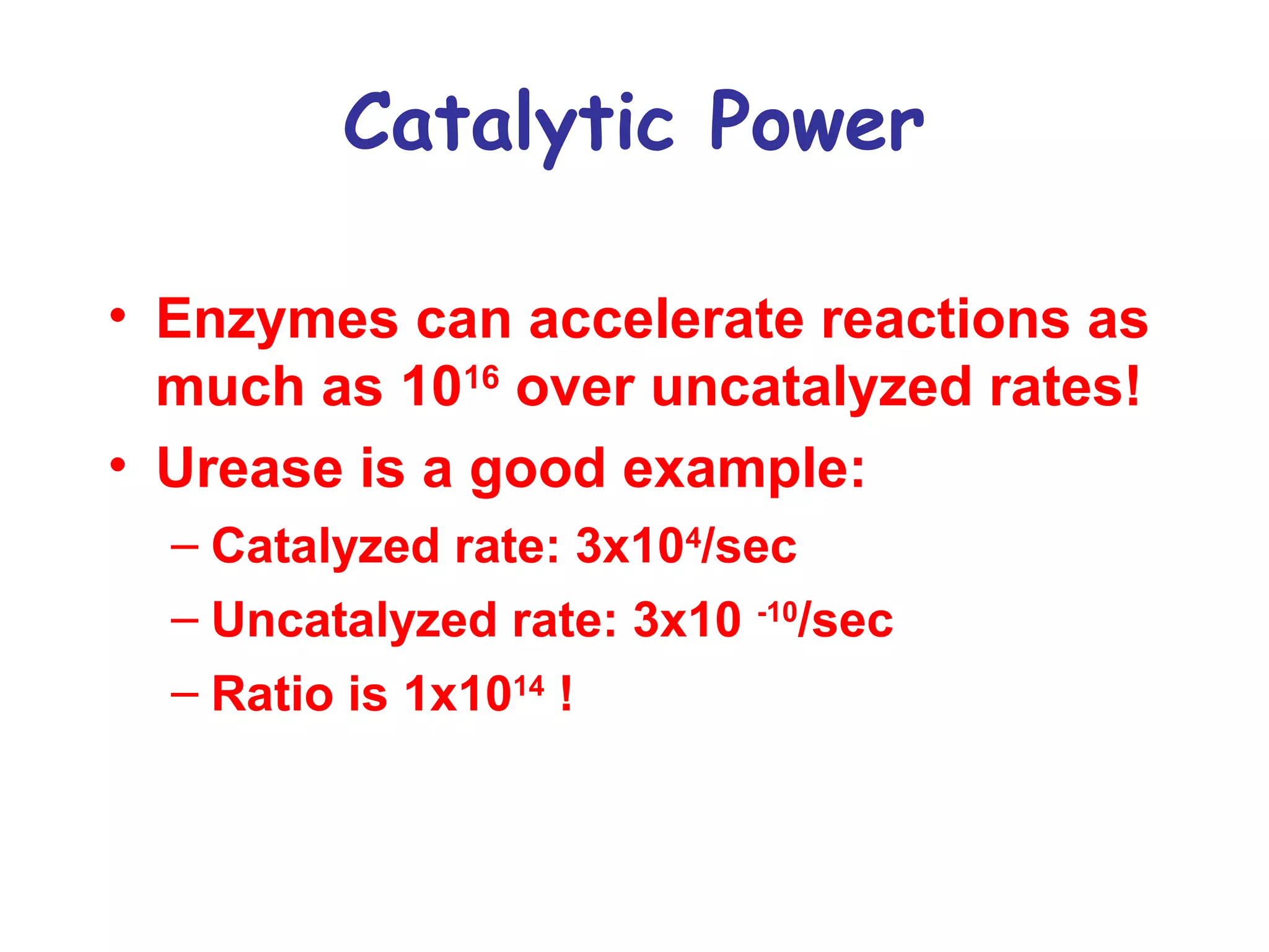 Catalytic Power 
• Enzymes can accelerate reactions as 
much as 1016 over uncatalyzed rates! 
• Urease is a good example: 
– Catalyzed rate: 3x104/sec 
– Uncatalyzed rate: 3x10 -10/sec 
– Ratio is 1x1014 ! 
 