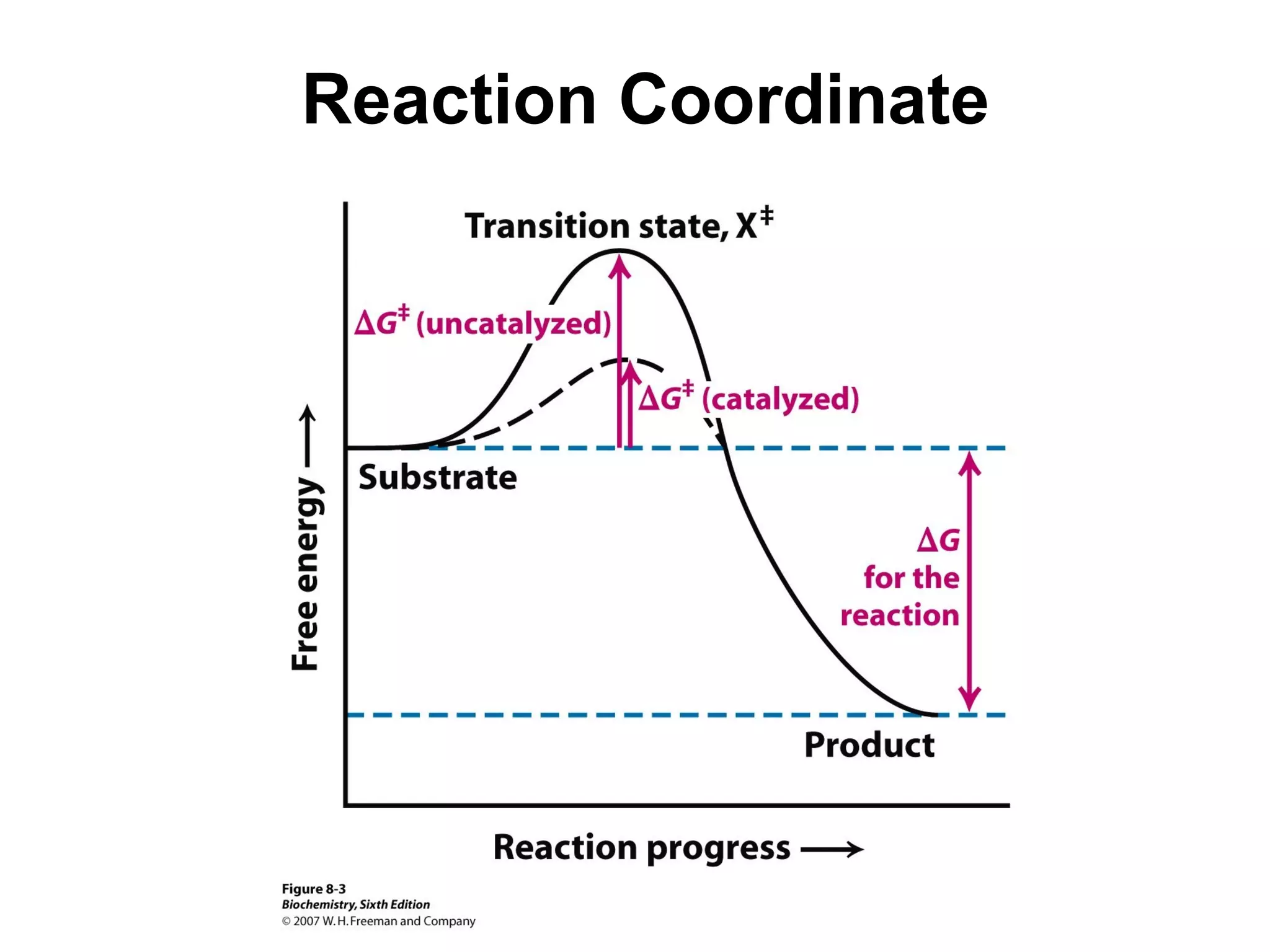 Reaction Coordinate 
 
