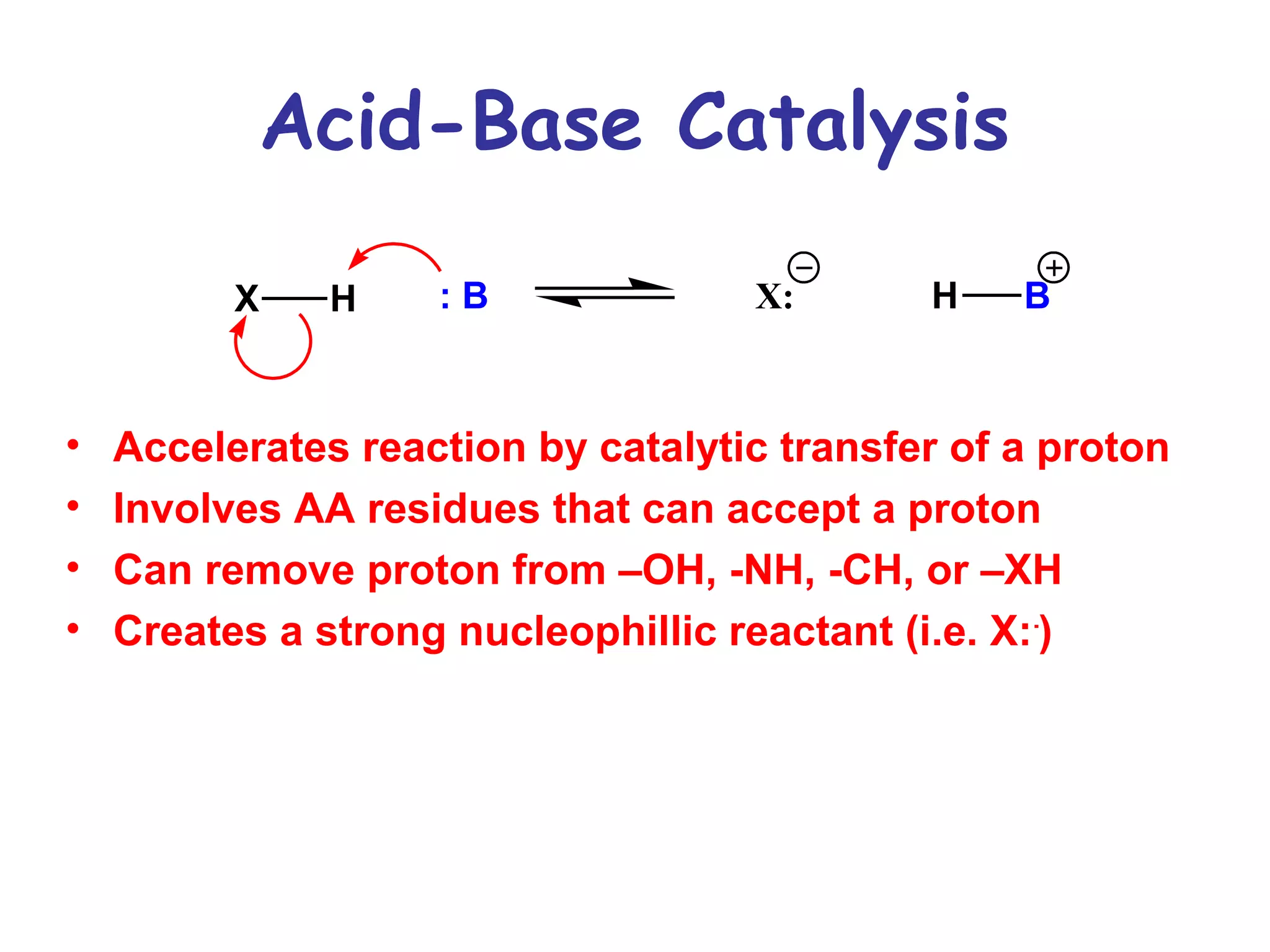 Acid-Base Catalysis 
X H : B X: H B 
• Accelerates reaction by catalytic transfer of a proton 
• Involves AA residues that can accept a proton 
• Can remove proton from –OH, -NH, -CH, or –XH 
• Creates a strong nucleophillic reactant (i.e. X:-) 
 