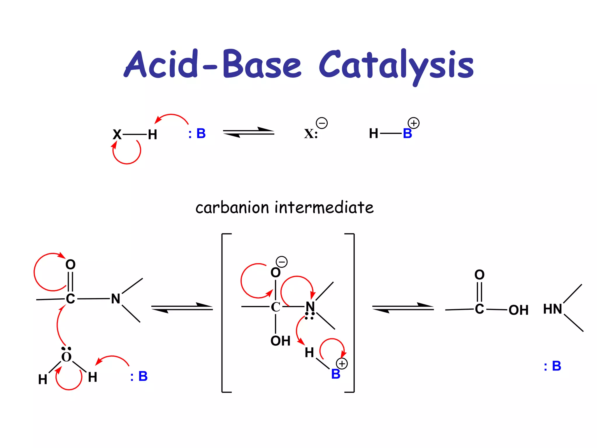 X H : B X: H B 
O 
C 
N 
O 
H H : B 
O 
C 
OH 
N 
H 
B 
O 
C 
OH HN 
: B 
: 
: 
Acid-Base Catalysis 
carbanion intermediate 
 