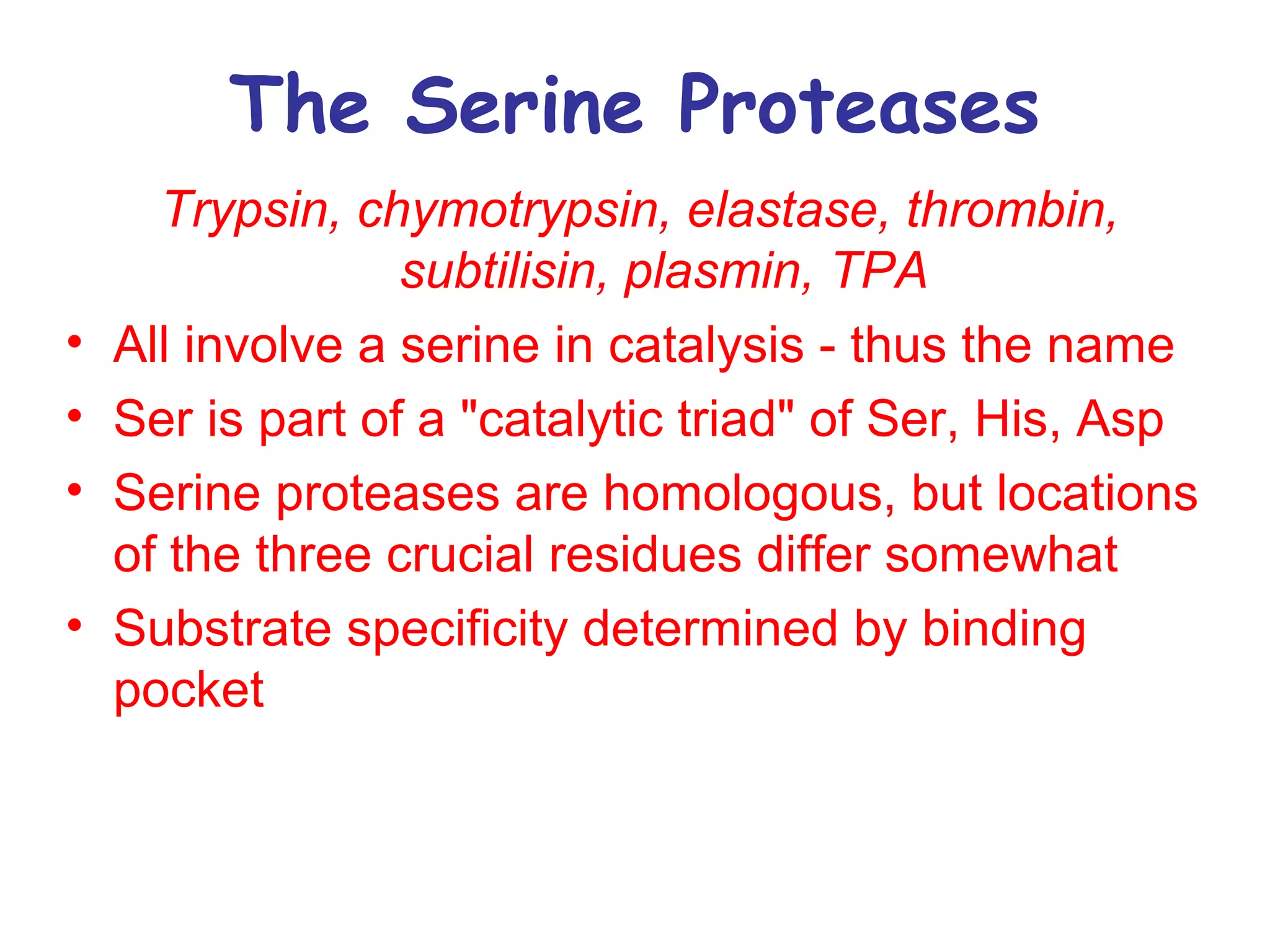 The Serine Proteases 
Trypsin, chymotrypsin, elastase, thrombin, 
subtilisin, plasmin, TPA 
• All involve a serine in catalysis - thus the name 
• Ser is part of a "catalytic triad" of Ser, His, Asp 
• Serine proteases are homologous, but locations 
of the three crucial residues differ somewhat 
• Substrate specificity determined by binding 
pocket 
 