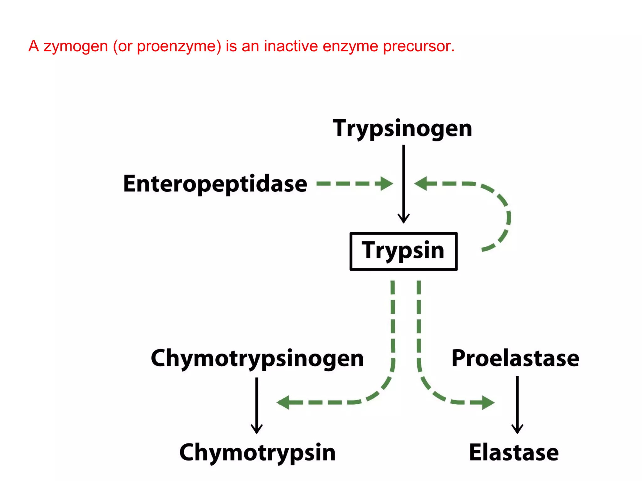 A zymogen (or proenzyme) is an inactive enzyme precursor. 
 