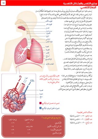 ‫لسان‬‫أو‬‫َة‬‫ك‬ْ‫ل‬َ‫ف‬‫ل‬‫ا‬ً‫ا‬‫قاطع‬‫لبلعوم‬‫ا‬‫عرب‬‫بعدها‬‫لينتقل‬‫ّب‬‫ط‬‫ير‬‫و‬‫ّى‬‫ق‬‫ين‬‫و‬‫ّأ‬‫ف‬‫ُد‬‫ي‬‫حيث‬‫نف‬‫أل‬‫وا‬‫لفم‬‫ا‬‫عرب‬‫اهلواء‬‫ُسحب‬‫ي‬
‫اجللد‬‫من‬‫يلة‬‫د‬‫س‬‫(وهي‬‫املزمار‬‫تنثين‬‫حنو‬)‫لبلع‬‫ا‬‫ب‬‫قيامنا‬‫أثناء‬‫لتنفسية‬‫ا‬‫اجملاري‬‫حتمي‬‫كواقية‬‫األسفل‬
‫اآل‬‫اهلواء‬‫يدخل‬‫يف‬‫لصوتية‬‫ا‬‫احلبال‬‫بني‬‫ليعرب‬‫آدم‬‫تفاحة‬‫أو‬‫لصوت‬‫ا‬‫بصندوق‬‫املعروفة‬‫احلنجرة‬‫إىل‬‫ن‬
‫حلقات‬‫حتميها‬‫ليت‬‫ا‬‫لرغامى‬‫ا‬‫إىل‬‫األسفل‬‫إىل‬‫احلنجرة‬
‫غضر‬‫و‬‫ف‬‫ــ‬‫ي‬‫ـــ‬‫حتي‬‫ة‬‫ــ‬‫ب‬‫ط‬‫ـ‬‫ه‬‫ــ‬‫ل‬‫ا‬‫ـتم‬‫ن‬‫ـ‬‫ن‬‫ا‬‫ع‬‫ـ‬‫ث‬‫ـ‬‫ن‬‫ـ‬)‫لتواءها‬‫ا‬(‫اءها‬
‫وتنق‬‫ـ‬‫س‬‫ــ‬‫م‬‫ل‬‫ا‬‫ـ‬‫رغ‬‫ــ‬‫ام‬‫ـ‬‫ى‬‫ل‬‫إ‬‫ـ‬‫قصبتي‬‫ى‬‫ـ‬‫ت‬‫ن‬‫ــ‬‫واحدة‬‫كل‬‫زود‬
‫م‬‫ـ‬‫ن‬‫ـ‬‫هم‬‫ـ‬‫ئ‬‫ر‬‫ا‬‫ـ‬‫ة‬‫باهلواء‬‫ممرات‬‫إىل‬‫لقصبتان‬‫ا‬‫بعدها‬‫تنقسم‬
‫أص‬‫ــ‬‫لله‬‫غر‬‫ــ‬‫تس‬‫واء‬‫ــ‬‫لقصيب‬‫ا‬‫مى‬‫ــ‬‫ل‬‫ا‬‫و‬‫ات‬‫ــــ‬‫يف‬‫يوجد‬‫يت‬
‫ن‬‫ـ‬‫ه‬‫ــ‬‫ي‬‫ا‬‫ــ‬‫ات‬‫ـ‬‫ه‬‫ــا‬‫أك‬‫ــ‬‫ه‬‫ياس‬‫ـ‬‫ئ‬‫ا‬‫و‬‫ـ‬‫ي‬‫ـ‬‫دق‬‫ة‬‫ـ‬‫يق‬‫ــ‬‫تدعى‬)‫ية‬‫ر‬‫ة(جمه‬
‫ب‬‫ـ‬‫األس‬‫ـ‬‫ج‬‫إن‬‫ناخ‬‫ـ‬‫األس‬‫دران‬‫ـ‬‫ن‬‫ـ‬‫ب‬‫اخ‬‫ـ‬‫سم‬‫ــ‬‫اك‬‫ــــــ‬‫خلية‬‫ة‬
‫واح‬‫ــ‬‫َل‬‫م‬‫ُح‬‫ي‬‫لذي‬‫ا‬‫لدم‬‫ا‬‫إىل‬‫األوكسجني‬‫يعرب‬‫لك‬‫ذ‬‫ل‬‫دة‬
‫بواس‬‫ـــ‬‫ي‬‫ر‬‫شع‬‫طة‬‫ــ‬‫ي‬‫و‬‫دم‬‫ات‬‫ـ‬‫يطرح‬‫و‬‫باألسناخ‬‫حتيط‬‫ة‬
)‫اجلسم‬‫فضالت‬‫(غاز‬‫لكربون‬‫ا‬‫أوكسيد‬‫ئي‬‫ا‬‫ثن‬‫غاز‬
‫األسناخ‬‫إىل‬‫لدم‬‫ا‬‫من‬‫عبوره‬‫بعد‬.
‫لصدر‬‫ا‬‫جوف‬‫يف‬‫حمتواة‬‫ئتني‬‫ر‬‫ل‬‫ا‬‫و‬‫لقصبتني‬‫ا‬‫و‬‫لرغامى‬‫ا‬‫إن‬.
‫سحب‬‫أجل‬‫ومن‬‫لصدري‬‫ا‬‫يف‬‫و‬‫لتج‬‫ا‬‫داخل‬‫إىل‬‫اهلواء‬
‫يس‬‫ـ‬‫ت‬‫ـ‬‫احل‬‫وي‬‫ـ‬‫ج‬‫ــ‬‫ل‬‫ا‬‫اب‬‫ـ‬‫ح‬‫ـ‬‫وت‬‫اجز‬‫ـ‬‫لصدر‬‫ا‬‫جدران‬‫تحرك‬
‫خ‬‫ـ‬‫ارج‬‫ــــ‬ً‫ا‬‫ضغط‬ً‫ا‬‫لق‬‫ا‬‫خ‬‫لصدر‬‫ا‬‫يف‬‫و‬‫جت‬‫حجم‬‫يد‬‫ز‬‫ي‬‫مما‬ً‫ا‬
‫للداخل‬‫اهلواء‬‫يسحب‬ً‫ا‬‫سلبي‬.
‫غشاء‬‫يدعى‬‫لطبقة‬‫ا‬‫مزدوج‬‫بغشاء‬‫حتاط‬‫ئتني‬‫ر‬‫ل‬‫ا‬‫من‬ً‫ال‬‫ك‬‫إن‬
‫من‬‫رقيقة‬‫لثة‬‫ا‬‫ث‬‫طبقة‬‫لطبقتني‬‫ا‬‫هاتني‬‫بني‬‫ما‬‫يوجد‬‫و‬‫اجلنب‬
‫ية‬‫ر‬‫حب‬‫باحلركة‬‫لصدر‬‫ا‬‫جلدران‬‫يسمح‬‫مصلي‬‫ئل‬‫ا‬‫س‬.
‫جد‬‫إن‬‫لعمود‬‫ا‬‫من‬‫له‬‫و‬‫ح‬‫تلف‬‫ليت‬‫ا‬‫باألضالع‬‫حممي‬‫لصدر‬‫ا‬‫ار‬
‫يف‬‫معه‬‫تتصل‬‫لذي‬‫ا‬)‫لثدي‬‫ا‬‫(عظم‬‫لقص‬‫ا‬‫عظم‬‫إىل‬‫لفقري‬‫ا‬‫األمام‬.
:‫لطبيعية‬‫ا‬‫لتنفس‬‫ا‬‫معدالت‬
:‫لغني‬‫ا‬‫لب‬‫ا‬‫عند‬01-11‫لدقيقة‬‫ا‬‫ب‬‫َــس‬‫ـ‬‫نفـ‬
:‫األطفال‬‫عند‬11-41‫لدقيقة‬‫ا‬‫ب‬‫َـس‬‫ـ‬‫نفـ‬
‫ع‬:‫َّع‬‫ض‬ُّ‫ر‬‫ل‬‫ا‬‫ند‬31-61‫لدقيقـة‬‫ا‬‫بـ‬‫َس‬‫ـ‬‫نفـــ‬
05
‫لدم‬‫ا‬‫إىل‬‫األسناخ‬‫من‬‫األوكسجني‬‫يعرب‬*
‫ب‬‫لكربون‬‫ا‬‫أوكسيد‬‫ني‬‫ا‬‫ث‬‫يعرب‬‫بينما‬‫االجتاه‬
ً‫ا‬‫خارج‬‫ليطرح‬‫املعاكس‬
‫قصيبة‬
‫سنخ‬
‫شع‬‫ـ‬‫ي‬‫ر‬‫ــ‬‫ت‬‫ات‬‫ـ‬‫ح‬‫ـ‬‫م‬‫ــ‬‫املؤكسج‬‫لدم‬‫ا‬‫ل‬
‫املؤكسج‬‫غري‬‫لدم‬‫ا‬‫حتمل‬‫يات‬‫ر‬‫شع‬
:‫لزفري‬‫ا‬‫هواء‬‫يف‬ :‫لشهيق‬‫ا‬‫هواء‬‫يف‬
‫األوكسجني‬11%06%
‫لكربون‬‫ا‬‫أوكسيد‬‫ني‬‫ا‬‫ث‬‫غاز‬‫زهيد‬‫مقدار‬4%
)‫(اآلزوت‬‫لنرتوجني‬‫ا‬19%19%
‫لغ‬‫ا‬‫األخرى‬‫ازات‬0%0%
‫؟‬‫نتنفسه‬‫لذي‬‫ا‬‫اهلواء‬‫يف‬‫يوجد‬‫ماذا‬
‫نف‬‫أل‬‫ا‬‫يف‬‫و‬‫جت‬
‫لفم‬‫ا‬‫يف‬‫و‬‫جت‬
‫اجلنب‬‫غشاء‬
‫قصبة‬
‫قصيبة‬
‫لقلب‬‫ا‬
‫أسناخ‬
‫ليسرى‬‫ا‬‫ئة‬‫ر‬‫ل‬‫ا‬
‫احلاجز‬‫احلجاب‬
‫شعرية‬
‫للسان‬‫ا‬
‫املزمار‬‫لسان‬
‫املريء‬
‫لرغامى‬‫ا‬
‫احلنجرة‬
‫اهلواء‬
 