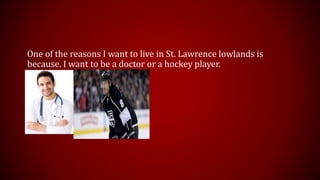 One of the reasons I want to live in St. Lawrence lowlands is 
because. I want to be a doctor or a hockey player. 
 