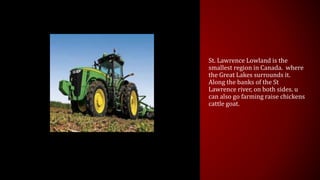St. Lawrence Lowland is the 
smallest region in Canada. where 
the Great Lakes surrounds it. 
Along the banks of the St 
Lawrence river, on both sides. u 
can also go farming raise chickens 
cattle goat. 
 