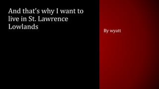 And that’s why I want to 
live in St. Lawrence 
Lowlands 
By wyatt 
