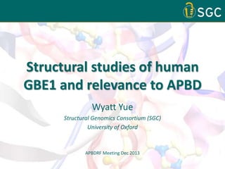 Structural studies of human
GBE1 and relevance to APBD
Wyatt Yue
Structural Genomics Consortium (SGC)
University of Oxford

APBDRF Meeting Dec 2013

 