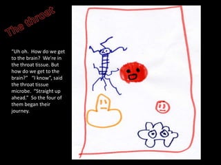 The throatUh oh.  How do we get to the brain?  We're in the throat tissue. But how do we get to the brain?   I know, said the throat tissue microbe.  Straight up ahead.  So the four of them began their journey.
