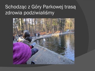 Schodząc z Góry Parkowej trasą zdrowia podziwialiśmy 