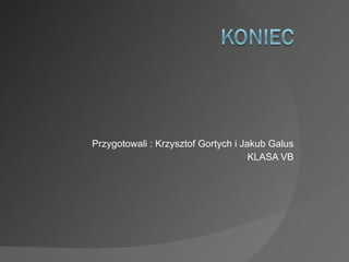 Przygotowali : Krzysztof Gortych i Jakub Galus KLASA VB 