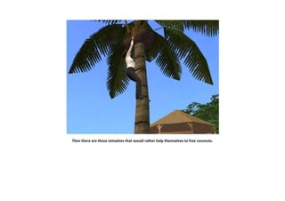 Then there are those simselves that would rather help themselves to free coconuts.
 