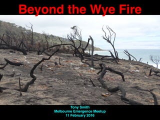 Beyond the Wye Fire
Tony Smith
Melbourne Emergence Meetup
11 February 2016
 