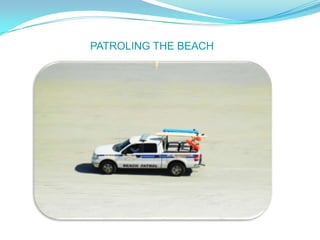 PATROLING THE BEACH
 