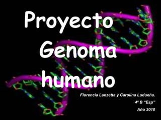Proyecto  Genoma humano Florencia Lanzetta y Carolina Ludueña. 4º B “Esp” Año 2010 