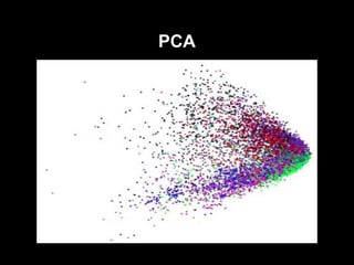 PCA
 