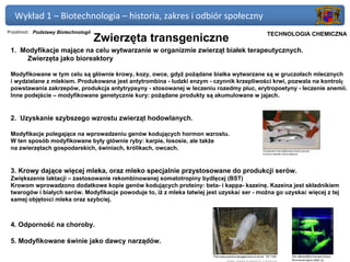 Wykład 1 – Biotechnologia – historia, zakres i odbiór społeczny
Przedmiot: Podstawy Biotechnologii                                                      Politechnika Gdańska, Inżynieria Biomedyczna
                                                                                             TECHNOLOGIA CHEMICZNA
                                     Zwierzęta transgeniczne
 1. Modyfikacje mające na celu wytwarzanie w organizmie zwierząt białek terapeutycznych.
     Zwierzęta jako bioreaktory

 Modyfikowane w tym celu są głównie krowy, kozy, owce, gdyż pożądane białka wytwarzane są w gruczołach mlecznych
 i wydzielane z mlekiem. Produkowana jest antytrombina - ludzki enzym - czynnik krzepliwości krwi, pozwala na kontrolę
 powstawania zakrzepów, produkcja antytrypsyny - stosowanej w leczeniu rozedmy płuc, erytropoetyny - leczenie anemii.
 Inne podejście – modyfikowane genetycznie kury: pożądane produkty są akumulowane w jajach.


 2. Uzyskanie szybszego wzrostu zwierząt hodowlanych.

 Modyfikacje polegające na wprowadzeniu genów kodujących hormon wzrostu.
 W ten sposób modyfikowane były głównie ryby: karpie, łososie, ale także
 na zwierzętach gospodarskich, świniach, królikach, owcach.


 3. Krowy dające więcej mleka, oraz mleko specjalnie przystosowane do produkcji serów.
 Zwiększenie laktacji – zastosowanie rekombinowanej somatotropiny bydlęcej (BST)
 Krowom wprowadzono dodatkowe kopie genów kodujących proteiny: beta- i kappa- kazeinę. Kazeina jest składnikiem
 twarogów i białych serów. Modyfikacje powoduje to, iż z mleka łatwiej jest uzyskać ser - można go uzyskać więcej z tej
 samej objętości mleka oraz szybciej.



 4. Odporność na choroby.

 5. Modyfikowane świnie jako dawcy narządów.
 
