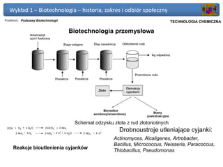 Wykład 1 – Biotechnologia – historia, zakres i odbiór społeczny
Przedmiot: Podstawy Biotechnologii                                                           Politechnika Gdańska, Inżynieria Biomedyczna
                                                                                                  TECHNOLOGIA CHEMICZNA

                                           Biotechnologia przemysłowa




                                               Schemat odzysku złota z rud złotonośnych
     -                         -
 2 CN + O2 + 4 H2O
         2 NH3 + 3 O2
                          2 HCO3 + 2 NH3
                              -     +
                         2 NO2 + 2 H + 2 H2O      2 NO3
                                                          -
                                                              +
                                                                    +
                                                                  6 H
                                                                          Drobnoustroje utleniające cyjanki:
                                                                        Actinomyces, Alcaligenes, Artrobacter,
                                                                        Bacillus, Micrococcus, Neisseria, Paracoccus,
     Reakcje bioutlenienia cyjanków
                                                                        Thiobacillus, Pseudomonas
 