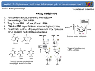 Wykład 10 – Wytwarzanie i zastosowanie leków opartych na kwasach nukleinowych
Przedmiot: Podstawy Biotechnologii                                    Politechnika Gdańska, Inżynieria Biomedyczna
                                                                           TECHNOLOGIA CHEMICZNA

                                            Kwasy nukleinowe
   1.   Polikondensaty zbudowane z nukleotydów
   2.   Dwa rodzaje: DNA i RNA
   3.   Trzy formy RNA: mRNA, tRNA i rRNA
   4.   DNA i mRNA są nośnikami informacji genetycznej
   5.   Cząsteczki labilne; ulegają denaturacji przy ogrzewaniu;
        RNA podatne na hydrolizę alkaliczną
                                                                   Struktura ogólna nukleotydu




                                                                    Wiązania fosfodiestrowe
                                                                    w DNA lub RNA




           Zasady purynowe i pirymidynowe
           występujące w DNA i/lub RNA
 