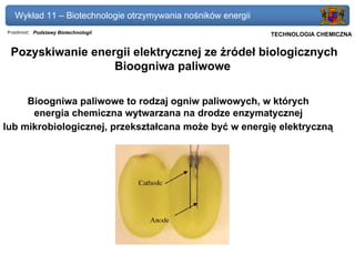 Wykład 11 – Biotechnologie otrzymywania nośników energii
Przedmiot: Podstawy Biotechnologii                            Politechnika Gdańska, Inżynieria Biomedyczna
                                                                   TECHNOLOGIA CHEMICZNA


 Pozyskiwanie energii elektrycznej ze żródeł biologicznych
                  Bioogniwa paliwowe

     Bioogniwa paliwowe to rodzaj ogniw paliwowych, w których
      energia chemiczna wytwarzana na drodze enzymatycznej
lub mikrobiologicznej, przekształcana może być w energię elektryczną
 