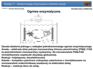 Wykład 11 – Biotechnologie otrzymywania nośników energii
Przedmiot: Podstawy Biotechnologii                            Politechnika Gdańska, Inżynieria Biomedyczna
                                                                   TECHNOLOGIA CHEMICZNA
                                     Ogniwa enzymatyczne




Zasada działania jednego z rodzajów jednokomorowego ogniwa enzymatycznego.
Anoda – elektroda złota pokryta monowarstwą chinonu pirochinoliny (PQQ) i FAD
za pośrednictwem monowarstwy cysteaminy. Na monowarstwie PQQ-FAD
immobilizowane cząsteczki oksydazy glukozowej.
Reakcja –trójetapowa, dwuelektronowa
Katoda – kompleks cytochrom c/oksydaza cytochromu c immoblizowane na
monowarstwie maleinimidowej osadzonej na elektrodzie złotej.
Reakcja – redukcja tlenu do wody.
 