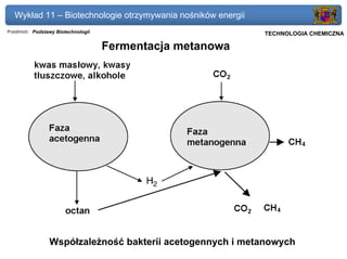 Wykład 11 – Biotechnologie otrzymywania nośników energii
Przedmiot: Podstawy Biotechnologii                            Politechnika Gdańska, Inżynieria Biomedyczna
                                                                   TECHNOLOGIA CHEMICZNA

                                     Fermentacja metanowa




                 Współzależność bakterii acetogennych i metanowych
 