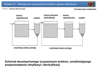 Wykład 12 – Biologiczne oczyszczanie ścieków i gazów odlotowych
Przedmiot: Podstawy Biotechnologii                          Politechnika Gdańska, Inżynieria Biomedyczna
                                                                 TECHNOLOGIA CHEMICZNA




    Schemat dwustopniowego oczyszczania ścieków, umożliwiającego
    przeprowadzenie nitryfikacji i denitryfikacji
 