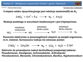 Wykład 12 – Biologiczne oczyszczanie ścieków i gazów odlotowych
Przedmiot: Podstawy Biotechnologii                                 Politechnika Gdańska, Inżynieria Biomedyczna
                                                                        TECHNOLOGIA CHEMICZNA

   II etapem szlaku dysymilacyjnego jest redukcja azotanów(III) do N2.
                               -     +
                          2 NO2 + 8 H + 6 e-              N2 + 4 H2O
   Reakcja przebiega w warunkach beztlenowych i jest trójstopniowa.

                      reduktaza            reduktaza              reduktaza
                      azotynowa            tlenku azotu           tlenku diazotu
                -                                           N2O                                N2
         NO2                         NO

  Donorami elektronów w poszczególnych etapach są związki organiczne,
  m.in. metanol. Sumaryczna reakcja ma wówczas postać:
                      -                                                                    -
           2 NO2 + CH3OH                       N2 + CO2 + H2O + 2 OH
Zdolność do prowadzenia reakcji denitryfikacji przejawiają bakterie:
Pseudomonas, Alcaligenes, Achromobacter, Arthrobacter,
Flavobacterium, Moraxella, Chromobacterium, Bacillus, Hyphomicrobium
 
