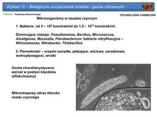 Wykład 12 – Biologiczne oczyszczanie ścieków i gazów odlotowych
Przedmiot: Podstawy Biotechnologii                                     Politechnika Gdańska, Inżynieria Biomedyczna
                                                                            TECHNOLOGIA CHEMICZNA
                              Mikroorganizmy w osadzie czynnym

           1. Bakterie: od 5 × 109 komórek/ml do 1,5 × 1010 komórek/ml.

           Dominujące rodzaje: Pseudomonas, Bacillus, Micrococcus,
           Alcaligenes, Moraxella, Flavobacterium; bakterie nitryfikacyjne –
           Nitrosomonas, Nitrobacter; Thiobacillus

           2. Pierwotniaki – orzęski (osiadłe, pełzające, wiciowe, zarodziowe,
           wolnopływające), wrotki


       Cecha charakterystyczna:
       wzrost w postaci kłaczków
       (sflokulowany)



       Mikroskopowy obraz kłaczka
       osadu czynnego
 