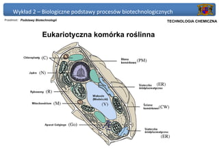 Wykład 2 – Biologiczne podstawy procesów biotechnologicznych
Przedmiot: Podstawy Biotechnologii                         Politechnika Gdańska, Inżynieria Biomedyczna
                                                                TECHNOLOGIA CHEMICZNA


                        Eukariotyczna komórka roślinna
 