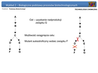 Wykład 2 – Biologiczne podstawy procesów biotechnologicznych
Przedmiot: Podstawy Biotechnologii                                      Politechnika Gdańska, Inżynieria Biomedyczna
                                                                             TECHNOLOGIA CHEMICZNA




                                     Cel – uzyskanie nadprodukcji
                                           związku G




                                Możliwość osiągnięcia celu:

                                Mutant auksotroficzny wobec związku F
 