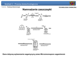 Wykład 3 – Procesy biotechnologiczne
Przedmiot: Podstawy Biotechnologii                           Politechnika Gdańska, Inżynieria Biomedyczna
                                                                  TECHNOLOGIA CHEMICZNA
                                     Namnażanie zaszczepki




 Dane dotyczą wytwarzania sagamycyny przez Micromonospora sagamiensis
 
