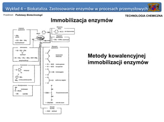 Wykład 4 – Biokataliza. Zastosowanie enzymów w procesach przemysłowych
Przedmiot: Podstawy Biotechnologii                           Politechnika Gdańska, Inżynieria Biomedyczna
                                                                  TECHNOLOGIA CHEMICZNA
                                     Immobilizacja enzymów




                                                 Metody kowalencyjnej
                                                 immobilizacji enzymów
 