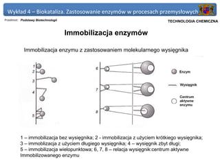 Wykład 4 – Biokataliza. Zastosowanie enzymów w procesach przemysłowych
Przedmiot: Podstawy Biotechnologii                                       Politechnika Gdańska, Inżynieria Biomedyczna
                                                                              TECHNOLOGIA CHEMICZNA


                                     Immobilizacja enzymów

            Immobilizacja enzymu z zastosowaniem molekularnego wysięgnika




          1 – immobilizacja bez wysięgnika; 2 - immobilizacja z użyciem krótkiego wysięgnika;
          3 – immoblizacja z użyciem długiego wysięgnika; 4 – wysięgnik zbyt długi;
          5 – immobilizacja wielopunktowa; 6, 7, 8 – relacja wysięgnik:centrum aktywne
          Immobilizowanego enzymu
 