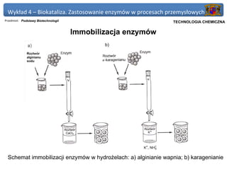 Wykład 4 – Biokataliza. Zastosowanie enzymów w procesach przemysłowych
Przedmiot: Podstawy Biotechnologii                           Politechnika Gdańska, Inżynieria Biomedyczna
                                                                  TECHNOLOGIA CHEMICZNA

                                     Immobilizacja enzymów




 Schemat immobilizacji enzymów w hydrożelach: a) alginianie wapnia; b) karagenianie
 