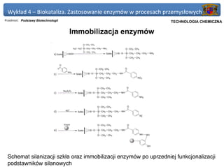 Wykład 4 – Biokataliza. Zastosowanie enzymów w procesach przemysłowych
Przedmiot: Podstawy Biotechnologii                             Politechnika Gdańska, Inżynieria Biomedyczna
                                                                    TECHNOLOGIA CHEMICZNA

                                     Immobilizacja enzymów




 Schemat silanizacji szkła oraz immobilizacji enzymów po uprzedniej funkcjonalizacji
 podstawników silanowych
 
