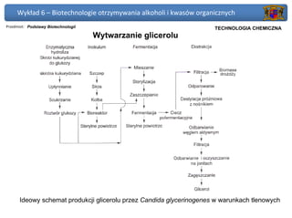 Wykład 6 – Biotechnologie otrzymywania alkoholi i kwasów organicznych
Przedmiot: Podstawy Biotechnologii                                  Politechnika Gdańska, Inżynieria Biomedyczna
                                                                     TECHNOLOGIA CHEMICZNA
                                     Wytwarzanie glicerolu




      Ideowy schemat produkcji glicerolu przez Candida glycerinogenes w warunkach tlenowych
 