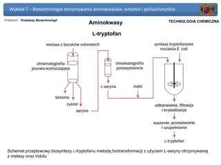 Wykład 7 – Biotechnologie otrzymywania aminokwasów, witamin i polisacharydów

Przedmiot: Podstawy Biotechnologii                                          Politechnika Gdańska, Inżynieria Biomedyczna
                                         Aminokwasy                              TECHNOLOGIA CHEMICZNA


                                          L-tryptofan




 Schemat przepływowy biosyntezy L-tryptofanu metodą biotransformacji z użyciem L-seryny otrzymywanej
 z melasy oraz indolu
 