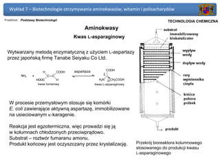 Wykład 7 – Biotechnologie otrzymywania aminokwasów, witamin i polisacharydów

Przedmiot: Podstawy Biotechnologii                                                   Politechnika Gdańska, Inżynieria Biomedyczna
                                                                                          TECHNOLOGIA CHEMICZNA
                                             Aminokwasy
                                        Kwas L-asparaginowy


 Wytwarzany metodą enzymatyczną z użyciem L-aspartazy
 przez japońską firmę Tanabe Seiyaku Co Ltd.

                                        aspartaza            COOH
                         H       COOH
                                                         L
          NH3    +          C C
                     HOOC        H                    H2N H CH2COOH
                      kwas fumarowy                 kwas L-asparaginowy




   W procesie przemysłowym stosuje się komórki
   E. coli zawierające aktywną aspartazę, immobilizowane
   na usieciowanym κ-karagenie.

   Reakcja jest egzotermiczna, więc prowadzi się ją
   w kolumnach chłodzonych przeciwprądowo.
   Substrat – roztwór fumaranu amonu.
   Produkt końcowy jest oczyszczany przez krystalizację.                  Przekrój bioreaktora kolumnowego
                                                                          stosowanego do produkcji kwasu
                                                                          L-asparaginowego
 