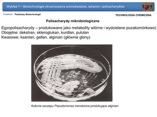 Wykład 7 – Biotechnologie otrzymywania aminokwasów, witamin i polisacharydów

 Przedmiot: Podstawy Biotechnologii                                              Politechnika Gdańska, Inżynieria Biomedyczna
                                                                                  TECHNOLOGIA CHEMICZNA

                                      Polisacharydy mikrobiologiczne
Egzopolisacharydy – produkowane jako metabolity wtórne i wydzielane pozakomórkowo)
Obojętne: dekstran, skleroglukan, kurdlan, pululan
Kwasowe: ksantan, gellan, alginian (głównie glony)




                          Kolonie szczepu Pseudomonas mendocina produkujące alginian
 