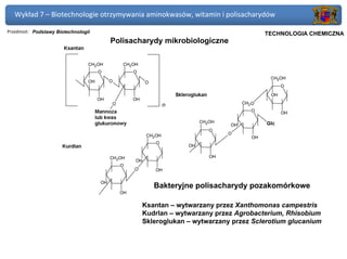Wykład 7 – Biotechnologie otrzymywania aminokwasów, witamin i polisacharydów

Przedmiot: Podstawy Biotechnologii                                           Politechnika Gdańska, Inżynieria Biomedyczna
                                                                                  TECHNOLOGIA CHEMICZNA
                                     Polisacharydy mikrobiologiczne




                                                Bakteryjne polisacharydy pozakomórkowe

                                             Ksantan – wytwarzany przez Xanthomonas campestris
                                             Kudrlan – wytwarzany przez Agrobacterium, Rhisobium
                                             Skleroglukan – wytwarzany przez Sclerotium glucanium
 
