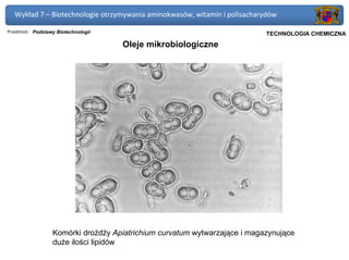 Wykład 7 – Biotechnologie otrzymywania aminokwasów, witamin i polisacharydów

Przedmiot: Podstawy Biotechnologii                                      Politechnika Gdańska, Inżynieria Biomedyczna
                                                                             TECHNOLOGIA CHEMICZNA
                                     Oleje mikrobiologiczne




                  Komórki drożdży Apiatrichium curvatum wytwarzające i magazynujące
                  duże ilości lipidów
 