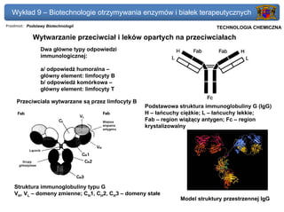 Wykład 9 – Biotechnologie otrzymywania enzymów i białek terapeutycznych
Przedmiot: Podstawy Biotechnologii                                       Politechnika Gdańska, Inżynieria Biomedyczna
                                                                              TECHNOLOGIA CHEMICZNA

             Wytwarzanie przeciwciał i leków opartych na przeciwciałach
                 Dwa główne typy odpowiedzi
                 immunologicznej:

                 a/ odpowiedź humoralna –
                 główny element: limfocyty B
                 b/ odpowiedź komórkowa –
                 główny element: limfocyty T

     Przeciwciała wytwarzane są przez limfocyty B
                                                    Podstawowa struktura immunoglobuliny G (IgG)
                                                    H – łańcuchy ciężkie; L – łańcuchy lekkie;
                                                    Fab – region wiążący antygen; Fc – region
                                                    krystalizowalny




    Struktura immunoglobuliny typu G
    VH, VL – domeny zmienne; CH1, CH2, CH3 – domeny stałe
                                                                Model struktury przestrzennej IgG
 