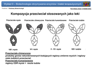Wykład 9 – Biotechnologie otrzymywania enzymów i białek terapeutycznych
Przedmiot: Podstawy Biotechnologii                            Politechnika Gdańska, Inżynieria Biomedyczna
                                                                   TECHNOLOGIA CHEMICZNA


             Kompozycja przeciwciał stosowanych jako leki




     Przeciwciała chimeryczne
     produkty genów rekombinowanych kodujących regiony zmienne mysich i regiony
     stałe ludzkich przeciwciał;
     Przeciwciała humanizowane
     regiony CDR mysie + reszta ludzka
 